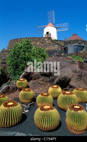 Jardin de Cactus in Guatiza, Lanzarote, Kanarische Inseln, Spanien, Europa Stockfoto