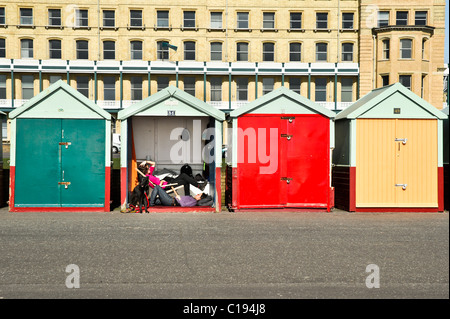 Ein paar und ein Hund entspannen Sie in einer Strandhütte mit der Tür offen in Brighton, Sussex. Stockfoto