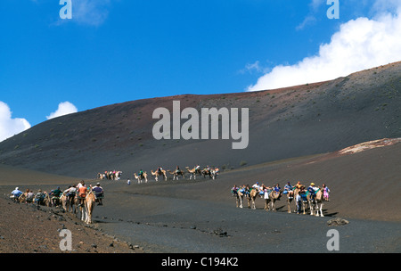 Kamel-Tour im Nationalpark Timanfaya, Lanzarote, Kanarische Inseln, Spanien, Europa Stockfoto