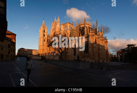 Catedral de Santa María de Regla de León Stockfoto