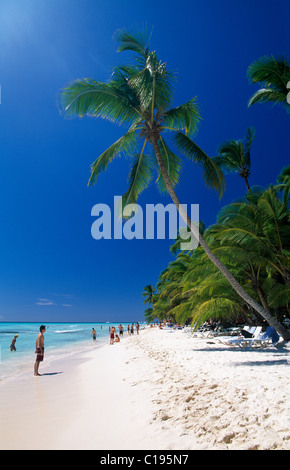 Palm Beach auf der Insel Saona, Parque Nacional del Este, Dominikanische Republik, Karibik Stockfoto