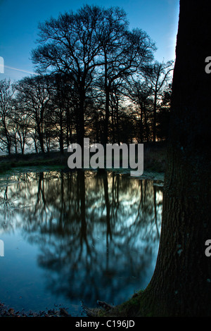 Ein Tau-Teich in Badbury Rings, Dorset. Eine Eisenzeit Wallburg, die wurde von den Römern übernommen und verträgt sich schlecht mit Ackling Dyke. Stockfoto