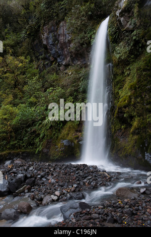 Dawson fällt, Mount Egmont, Taranaki, Nordinsel, Neuseeland Stockfoto