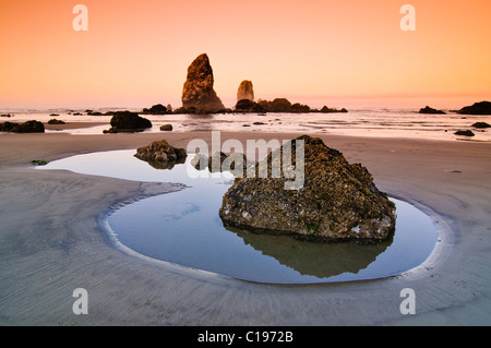 Monolith, erstarrte Lava-Gestein in Cannon Beach, Clatsop County, Oregon, USA, Nordamerika Stockfoto