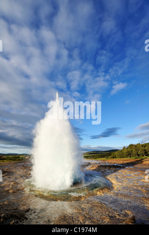 Geysir Strokkur Ausbruch der Brunnen, ausgeworfene Wasserspeier, Folge von 4 Aufnahmen, Geysir, Island, Europa Stockfoto