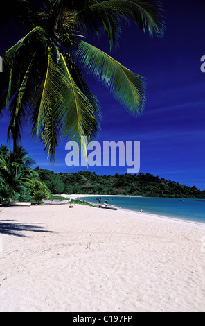 Madagaskar, nordwestlich, Nosy Be Insel, Andilana beach Stockfoto