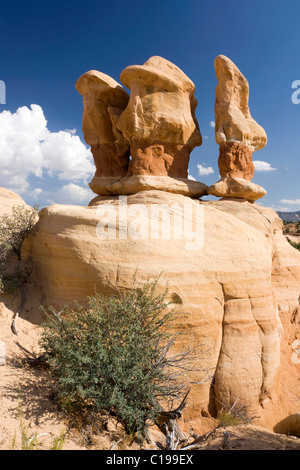 Sandstein-Formationen in Devils Garden, Grand Treppe Escalante National Monument, Utah, USA, Nordamerika Stockfoto