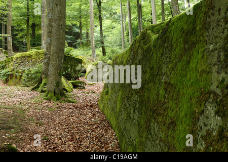 Langen Steinen in der Nähe von Riedenburg, Rhön, untere Franken, Bayern, Deutschland, Europa Stockfoto
