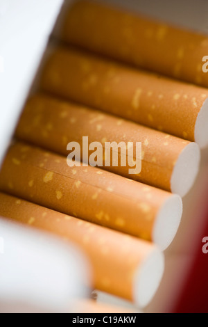 Zigaretten in einer geöffneten Zigarettenschachtel, Detail, Nahaufnahme Stockfoto