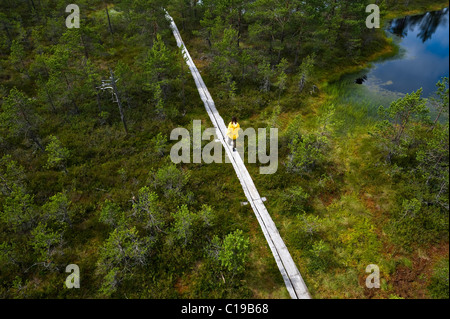 Wanderer auf einer Holzbrücke, Viru Raba, Moor, Nationalpark Lahemaa, Estland, Baltikum, Europa Stockfoto