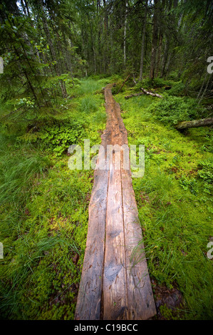 Hölzerne Pfad führt durch die Aabla Raba Marsh, Lahemaa Nationalpark, Estland, Baltikum, Europa Stockfoto