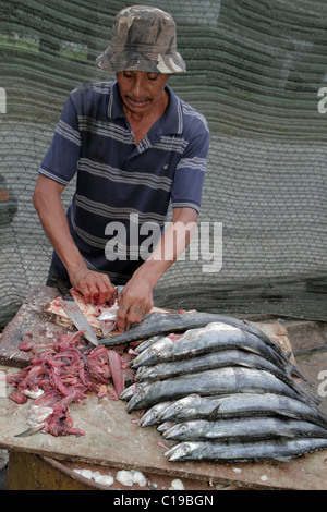 Panama, Lateinamerika, Mittelamerika, Panama City, Ancon, Mercado de Mariscos, Markt, Verkauf, Meeresfrüchte, Verkäufer, Stände Stand Markt Käufer sellin kaufen Stockfoto