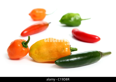 Chili Habanero Serrano heiße mexikanische Paprika gemischt Stockfoto