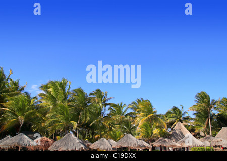 Riviera Maya Playa del Carmen tropischen Palapa Palm Bäume blauen Himmel Stockfoto