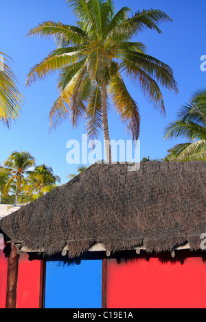 Karibische Hütte rote bunte Haus Kokospalme Bäume Hintergrund Stockfoto