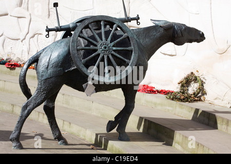 Ein Denkmal der Tiere kämpfte in den großen Kriegen, "sie hatte keine Wahl" London England Stockfoto