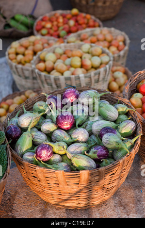 Auberginen/Auberginen, Tomaten in Körben an einem indischen Markt. Andhra Pradesh, Indien Stockfoto