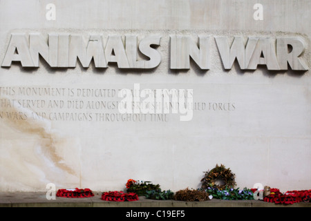 Ein Denkmal der Tiere kämpfte in den großen Kriegen, "sie hatte keine Wahl" London England Stockfoto