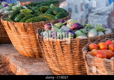 Auberginen/Auberginen, Tomaten und bitteren Kürbis in Körben an einem indischen Markt. Andhra Pradesh, Indien Stockfoto