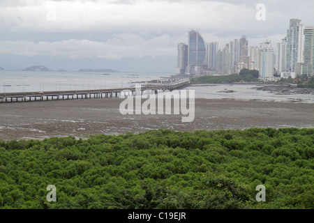 Panama, Lateinamerika, Mittelamerika, Panama City, Bahia de Panama, Pazifischer Ozean, Wasser, Corredor Sur, Skyline, Wolkenkratzer, moderne Stadt, Brücke, Küstenwohnungen, Vegetat Stockfoto