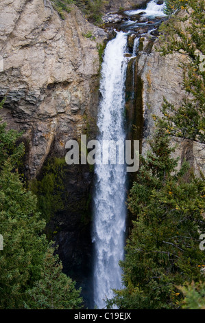 Yellowstone River, Turm Falls132Ft, Bannock Trail verwendet von Nez Pez, Indianer, Roosevelt Lodge, Yellowstone-Nationalpark, Wyoming, USA Stockfoto