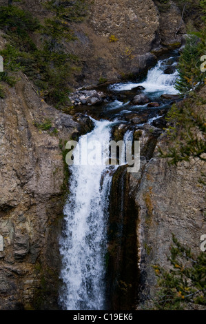 Yellowstone River, Turm Falls132Ft, Bannock Trail verwendet von Nez Pez, Indianer, Roosevelt Lodge, Yellowstone-Nationalpark, Wyoming, USA Stockfoto