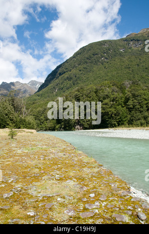 Dart River, Otago, Neuseeland Stockfoto