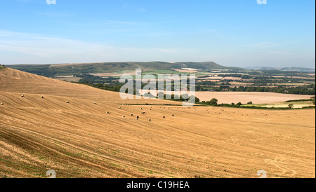 Goldenen Weizenfeldern bei der Ernte von Wilmington über das Cuckmere Tal auf Firle Leuchtturm auf den South Downs Stockfoto