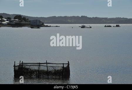 Silhouette Blick aufs Meer, in Richtung Angelboote/Fischerboote vor Anker vor der Küste von einem Fisch Corral in den Gewässern des Golfs von Quetalmahue, Chiloé, Chile Stockfoto