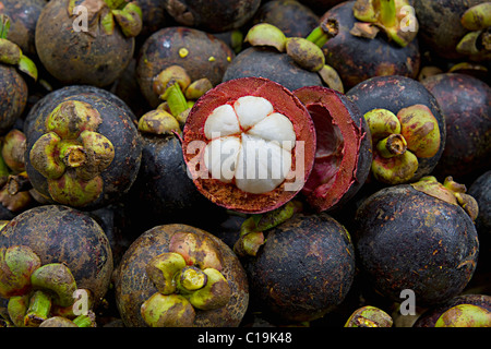 Lila Mangostan am Obststand in tropischen Land Stockfoto