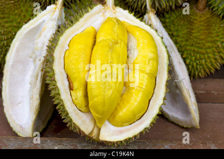 Durian im Display mit gelbem Fruchtfleisch auf Obst stehen in tropischen Land Stockfoto