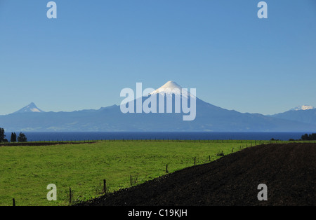 Blauer Himmelsblick auf gepflügte Erde und grünen Wiese über das Wasser des Sees Llanquihue gegenüber Eis Kegel Volcan Osorno, Frutillar, Chile Stockfoto