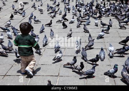 Kind füttern Tauben in Plaza Murillo, La Paz, Bolivien, Südamerika. Stockfoto