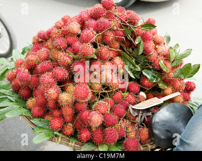 Frische Litschis zum Verkauf auf den Straßen von Hanoi, Vietnam Stockfoto