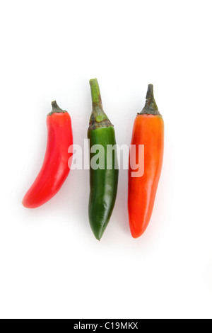 mexikanische Chili Serrano isoliert auf weiß grün rot orange Stockfoto