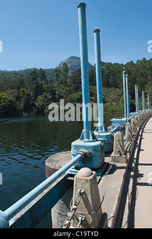 An einem Fluss, Dam, Mattupetty Dam, Munnar, Idukki, Kerala, Indien Stockfoto