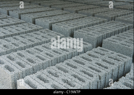 Beton-Blöcke in einer Fabrik, Thekkady, Periyar Nationalpark, Kerala, Indien Stockfoto