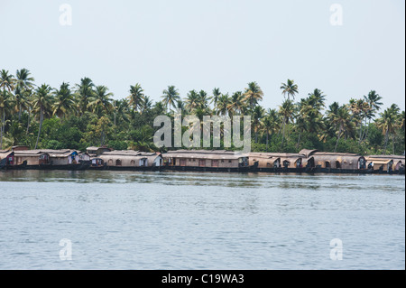 Hausboote an der Küste, Kerala Backwaters, Alleppey, Alappuzha Bezirk, Kerala, Indien Stockfoto