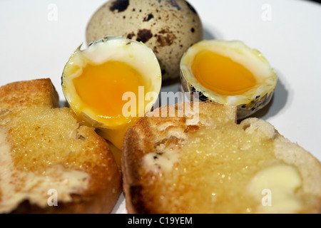 weich gekochten laufende Wachteln, Eiern und Butter geröstetem Brot Stockfoto