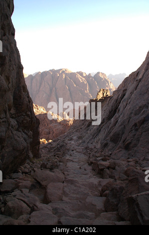 Im Schatten des robusten & entfernten Mount Sinai liegt der weltweit älteste kontinuierlich arbeitende Kloster von Str. Catherine. Stockfoto