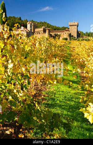 Weingut in Napa Valley, Kalifornien, USA Stockfoto