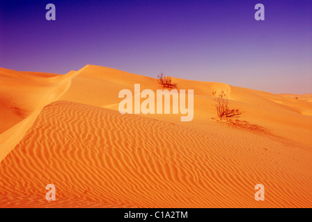 Sanddünen im Quartier Khali, südlichen Oman, leer Stockfoto