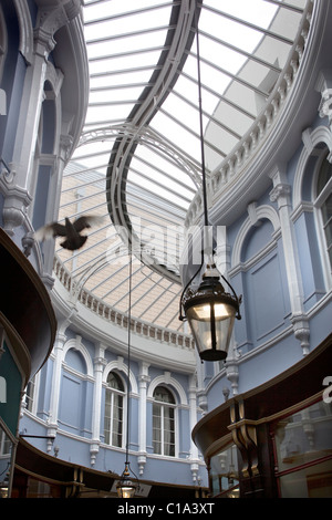 Der Morgan Arcade Cardiff South Glamorgan Wales UK Stockfoto
