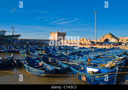 Angelboote/Fischerboote in der Marina Port Essaouira zentralen Marokko in Nordafrika Stockfoto