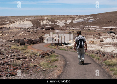 Mike Vining bummeln Crystal Forest Petrified Forest Nationalpark Arizona USA Stockfoto