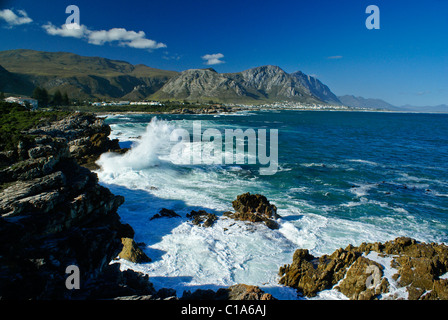 Gansbaai und Walker Bay, Western Cape, Südafrika Stockfoto