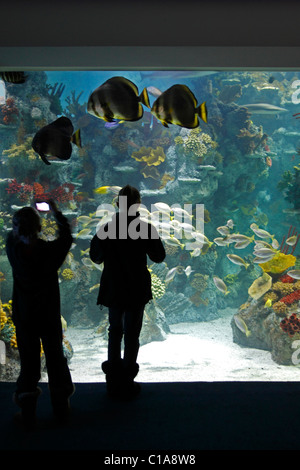 zwei Mädchen auf der Suche bei tropischen Fischen in einem riesigen Aquarium tank Stockfoto