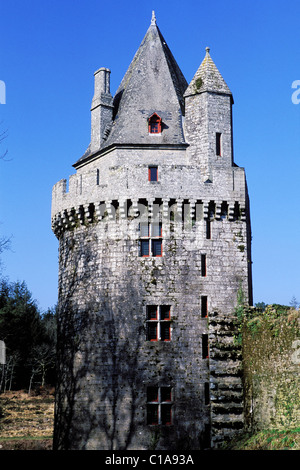 Frankreich, Morbihan, Ruinen der Festung Largoët in der Nähe von Elfen Dorf Stockfoto