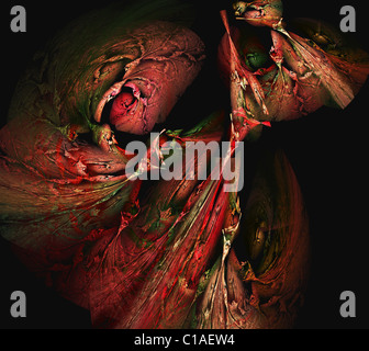 Zusammenfassung Hintergrund Stockfoto