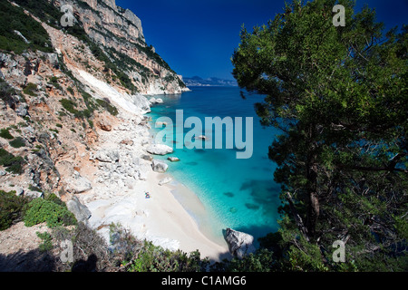 Cala Goloritzè Strand, Baunei (OG), Sardinien, Italien, Europa Stockfoto